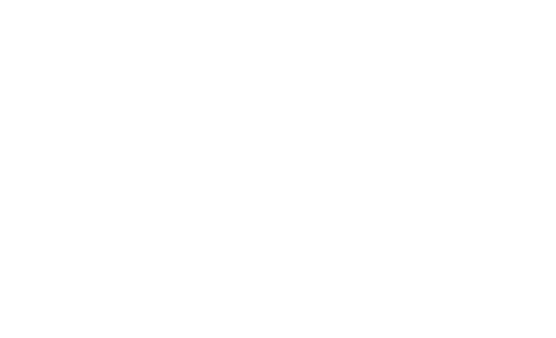 IMpulsLEBEN Icon weiß