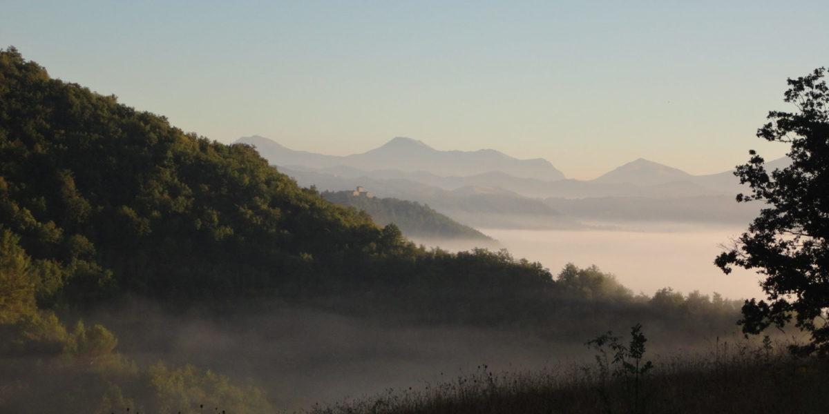 Bergpanorama mit Nebelschwaden im Tal zur frühen Stunde